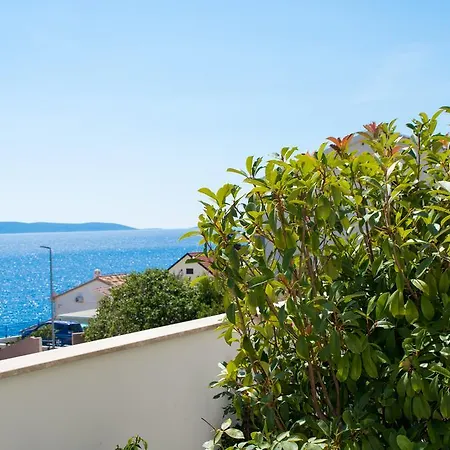 Wisibada * تروغير